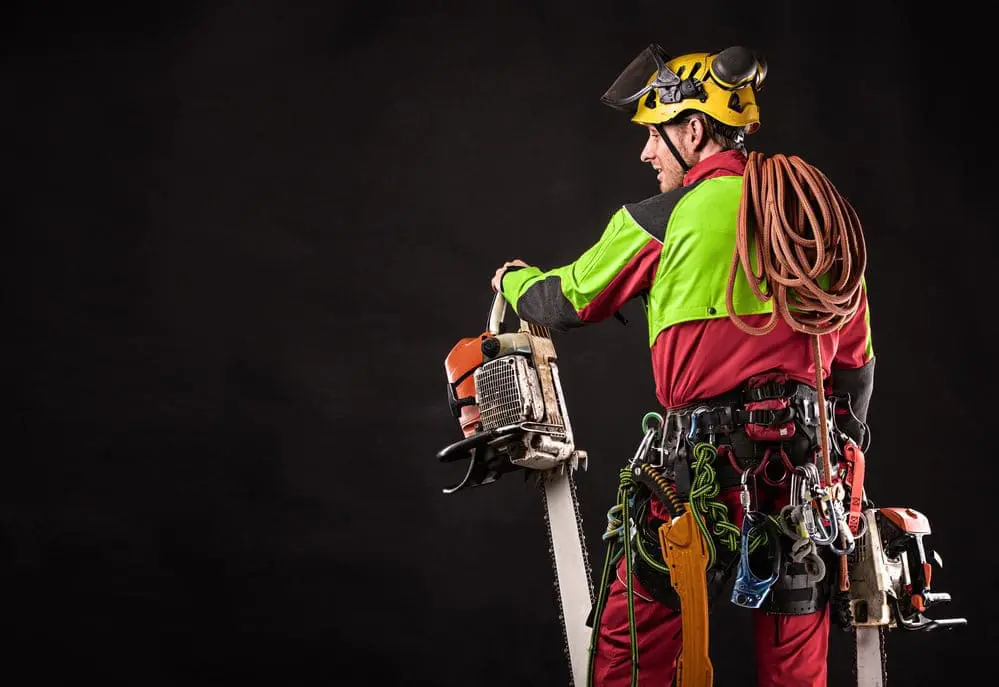 Eastern Tree & Garden Specialists arborist in climbing gear and helmet holding a chainsaw