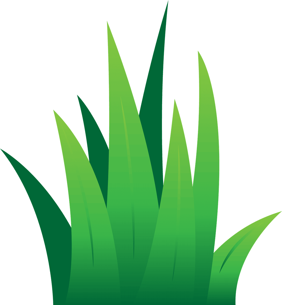 Green grass blades illustration