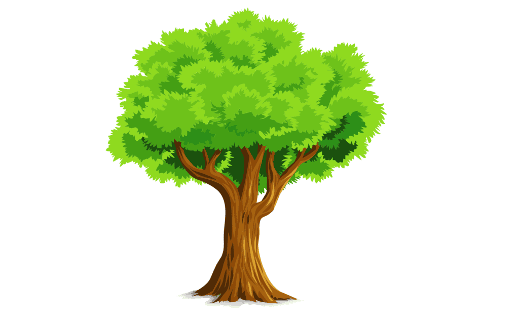 Cartoon illustration of a healthy tree with a full green crown