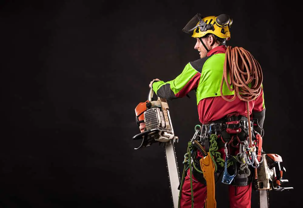 Eastern Tree & Garden Specialists arborist in hi-vis climbing kit holding a chainsaw