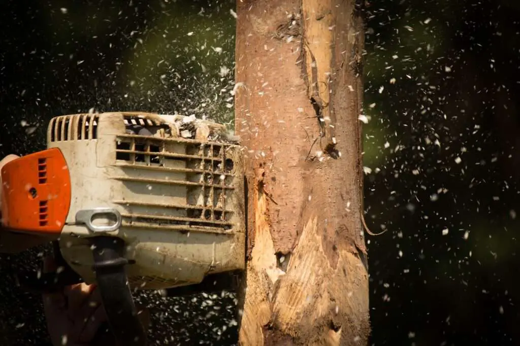 Chainsaw cutting through a felled trunk with sawdust flying