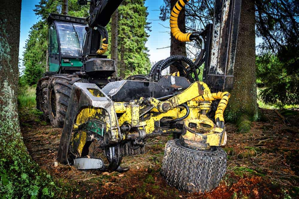 forestry-services-newmarket-suffolk