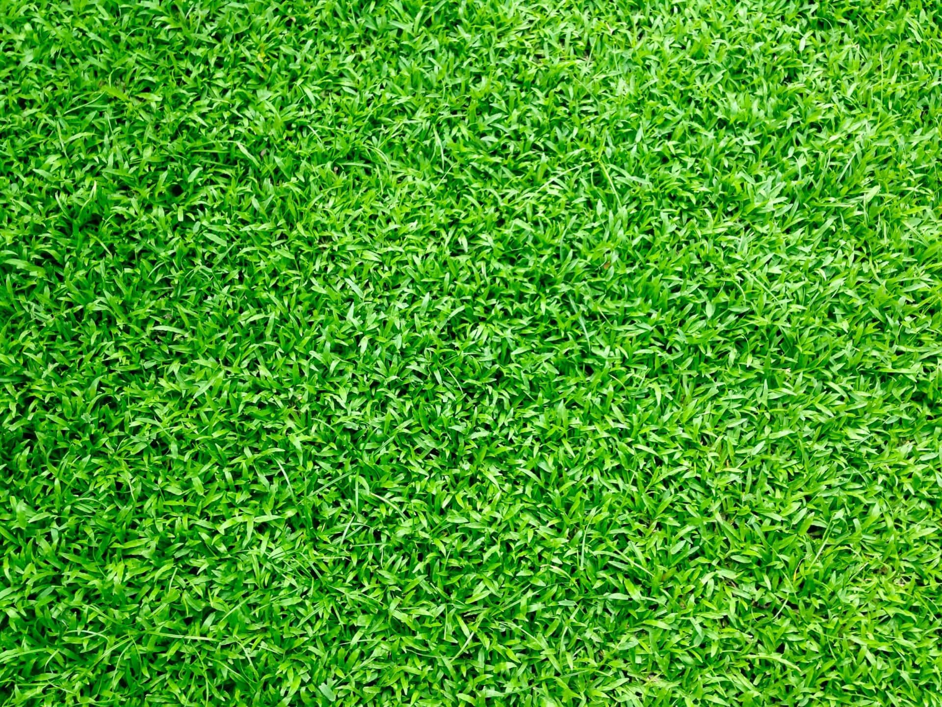 landscaping-company-newmarket-suffolk