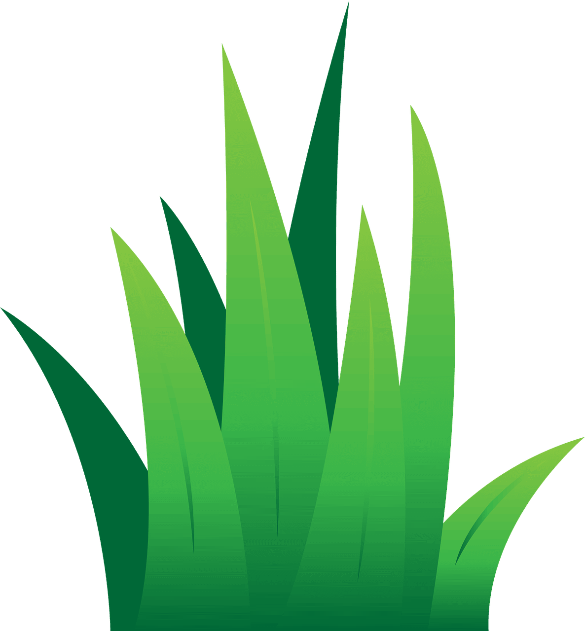 lawn-care-services-newmarket-suffolk