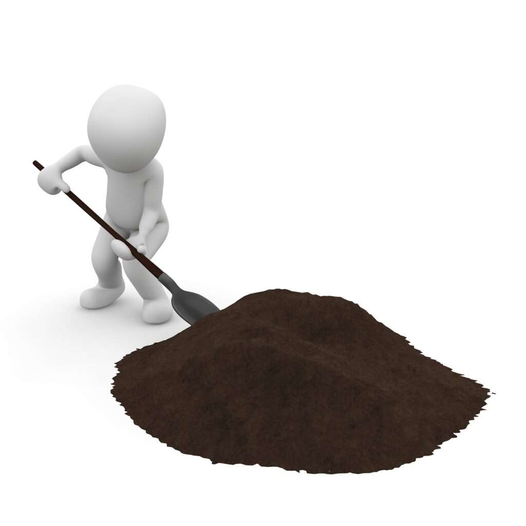 tree-stump-removal-newmarket-suffolk