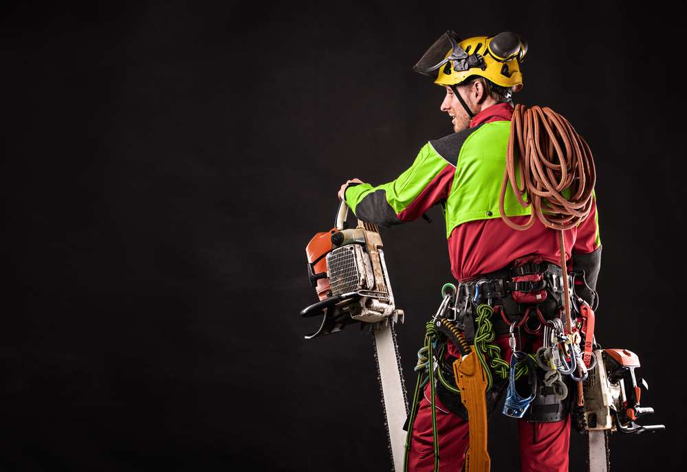 tree-surgeon-newmarket-suffolk