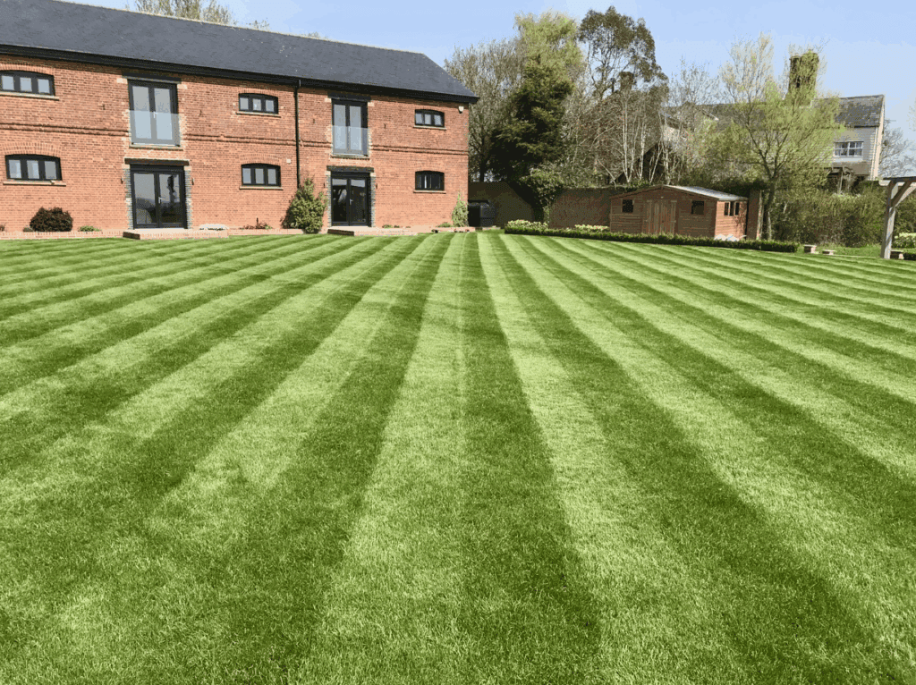 Lawn care in Newmarket by Eastern Tree & Garden Specialists